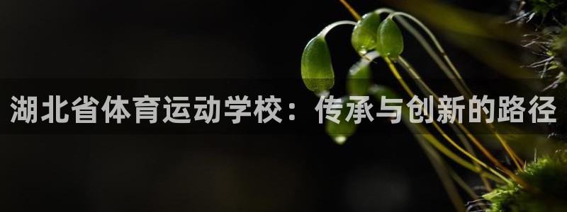 oety欧亿