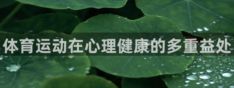 oety欧亿