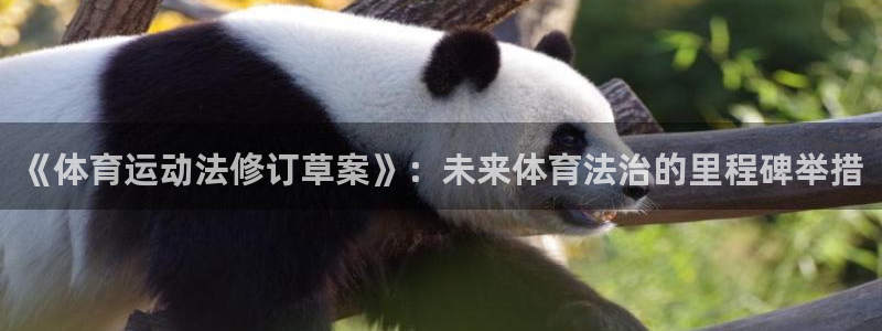 oety欧亿