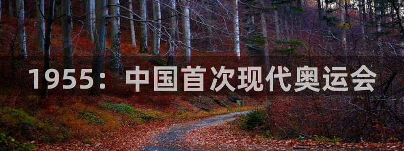 oety欧亿