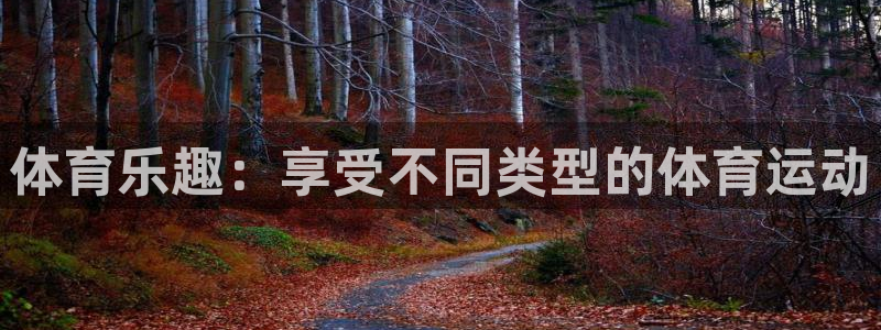 oety欧亿