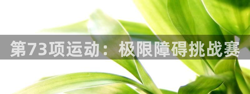 oety欧亿