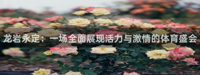 oety欧亿