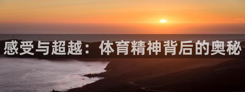 oety欧亿