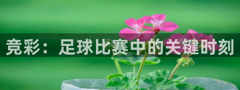 oety欧亿